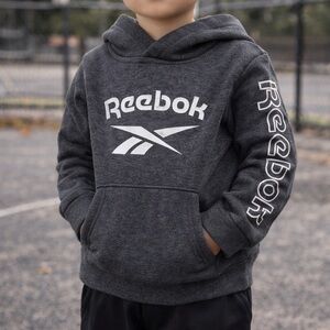 Reebok Toddler Hoodie Gray Pullover Logo‎ Sweatshirt Size 3T Athleisure